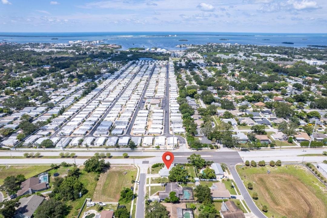 Photo of Others in Palm Harbor