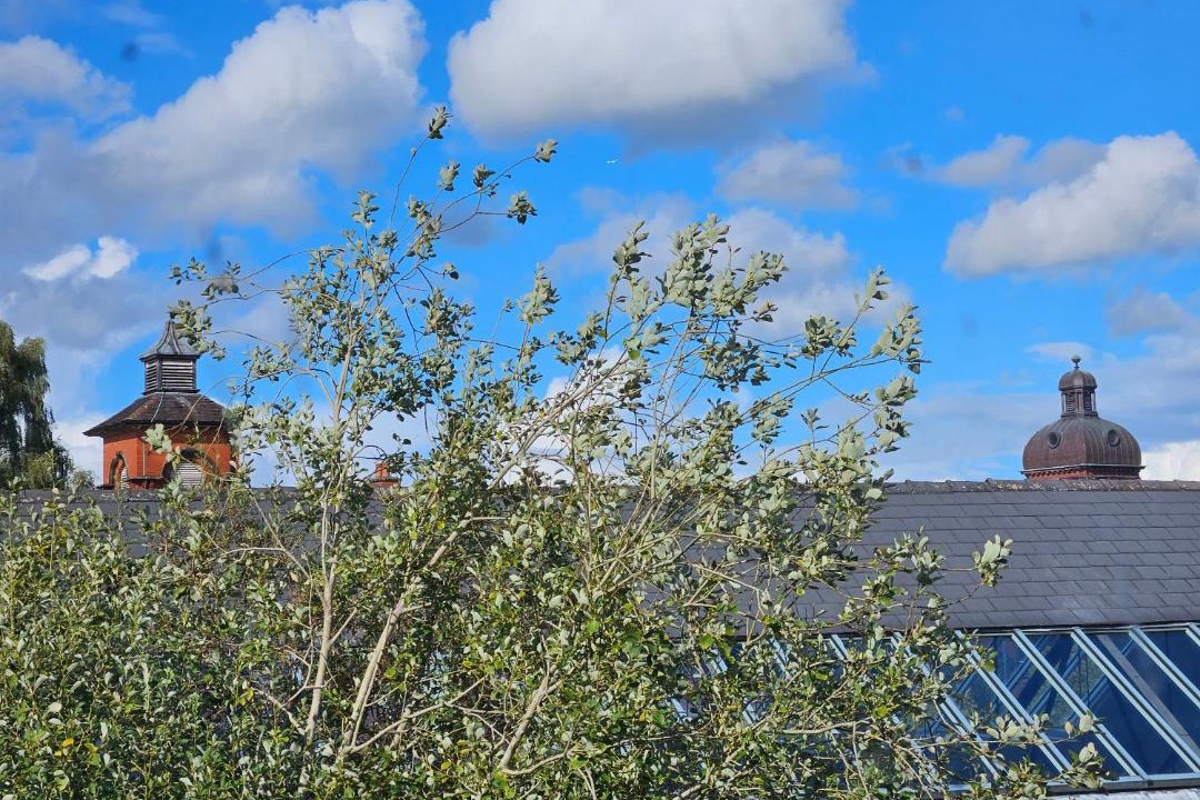 Photo of Others in Leek