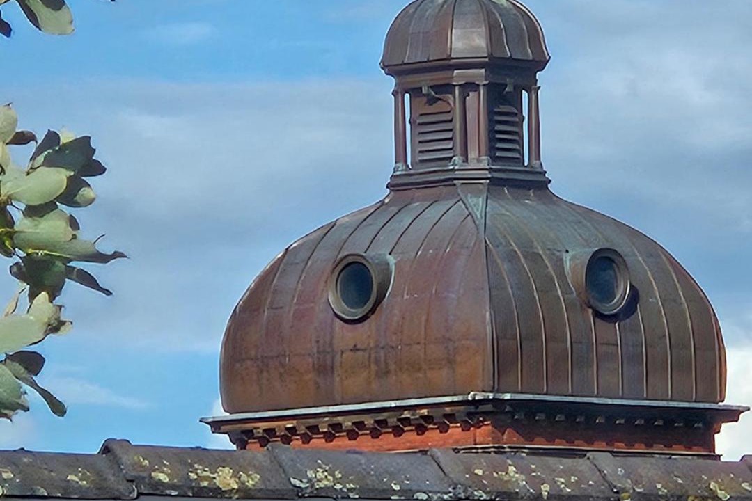 Photo of Others in Leek