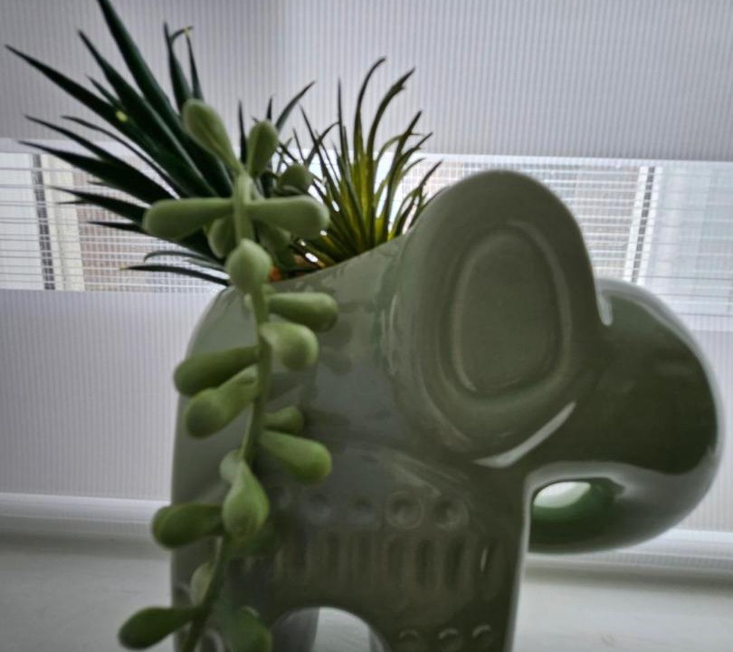 Photo of Others in Leek