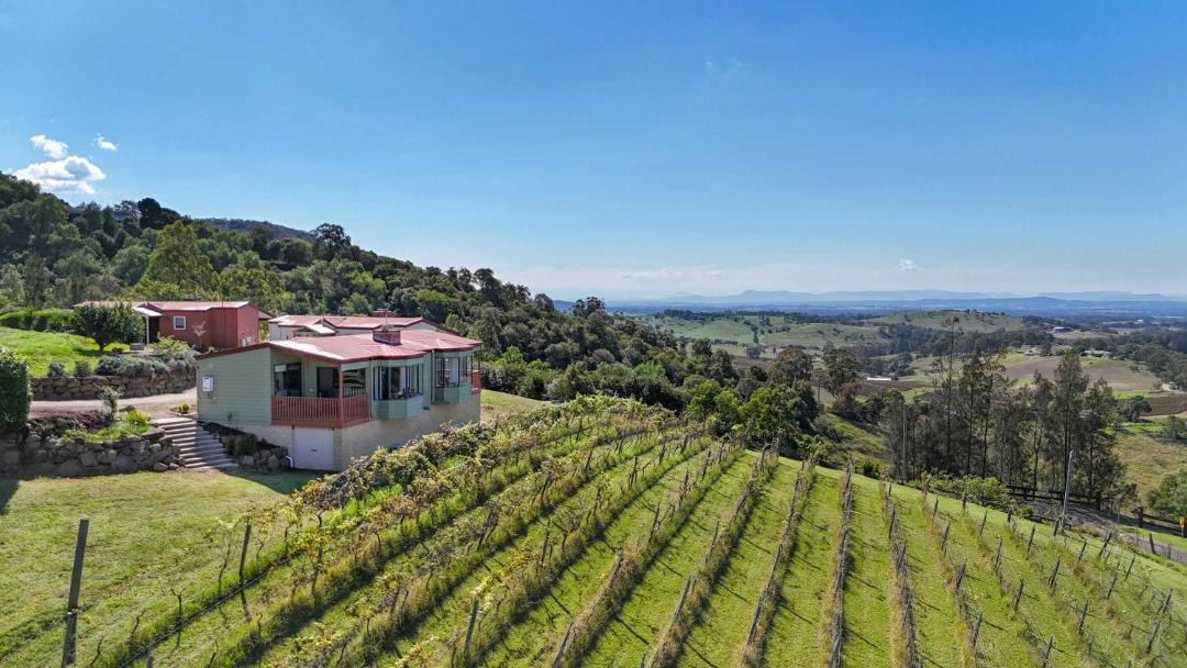 Photo of Others in Mount View