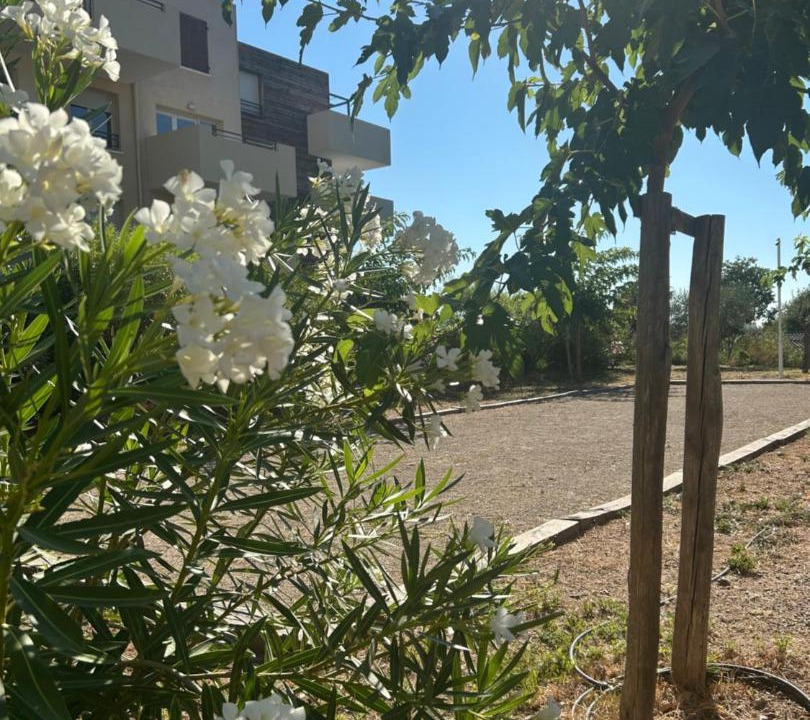 Photo of Others in Le Muy