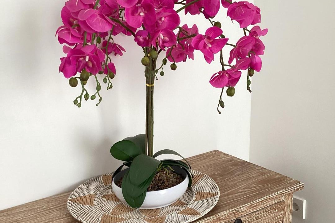 Photo of Others in Drupadi