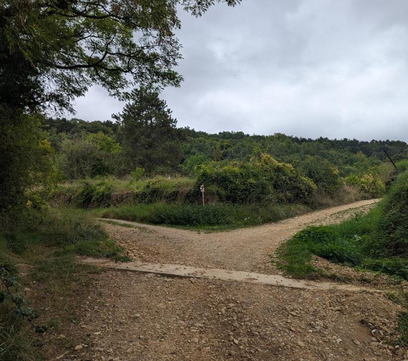 Photo of Others in Pagny-sur-Morselle