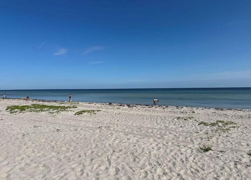 Photo of Others in Greve Strand