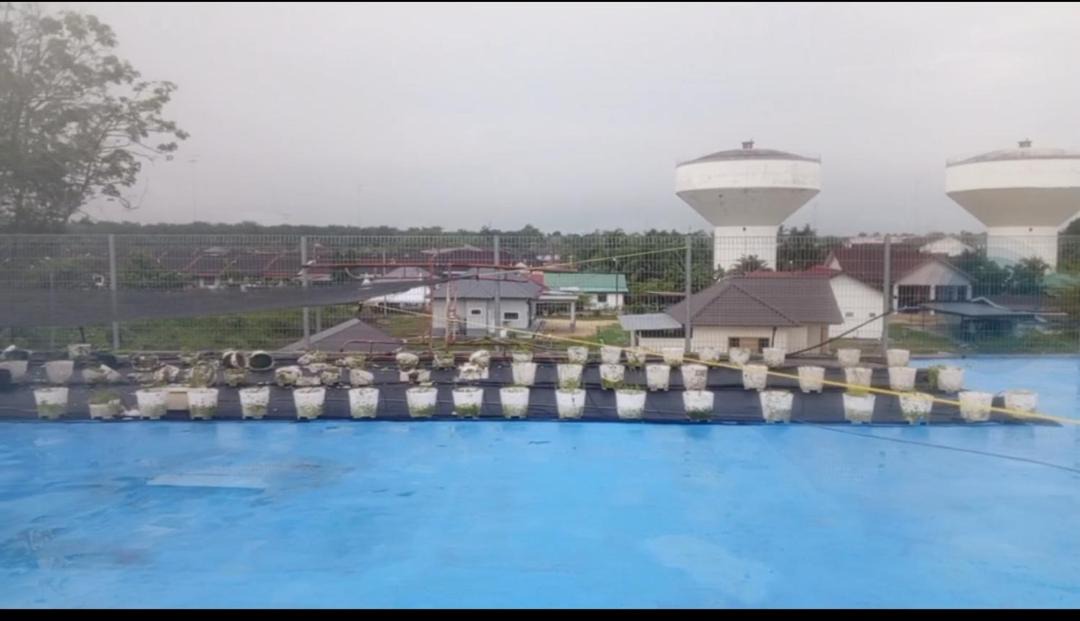 Photo of Others in Muar