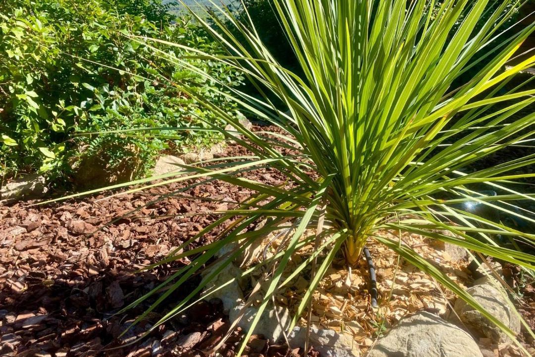 Photo of Outdoor in Le Beausset