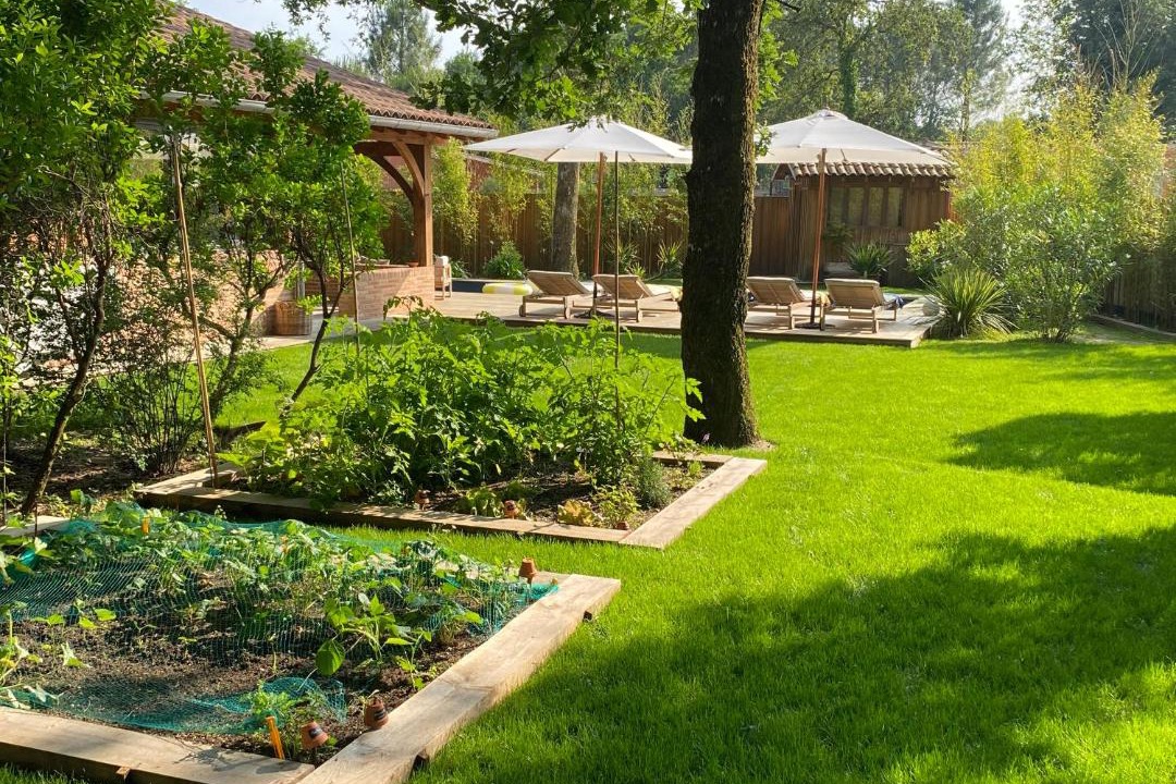 Photo of Others in Belin-Beliet