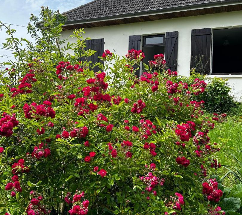 Photo of Others in Les Houches