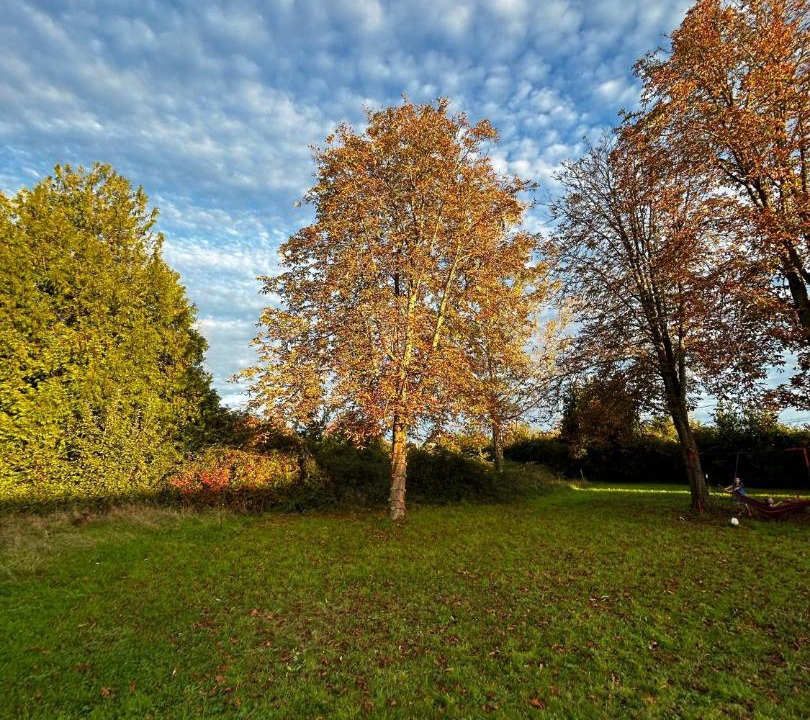 Photo of Others in Les Houches