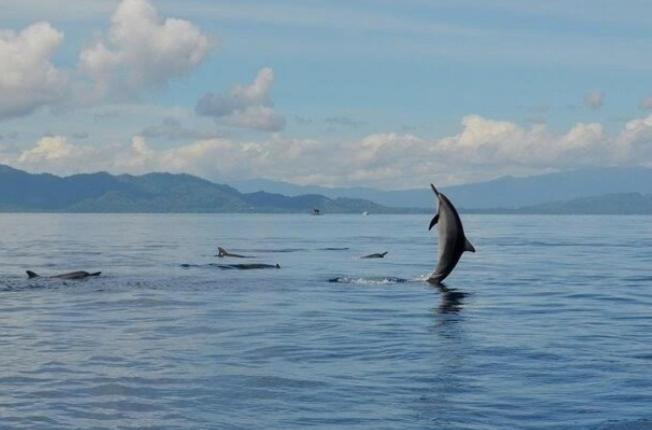 Photo of Others in Bunaken