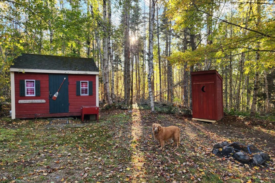 Photo of Others in East Machias