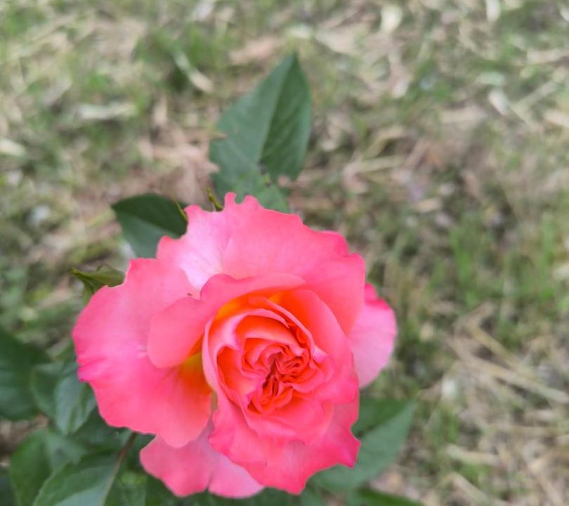 Photo of Outdoor in Le Thoronet