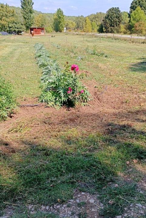 Photo of Outdoor in Le Thoronet