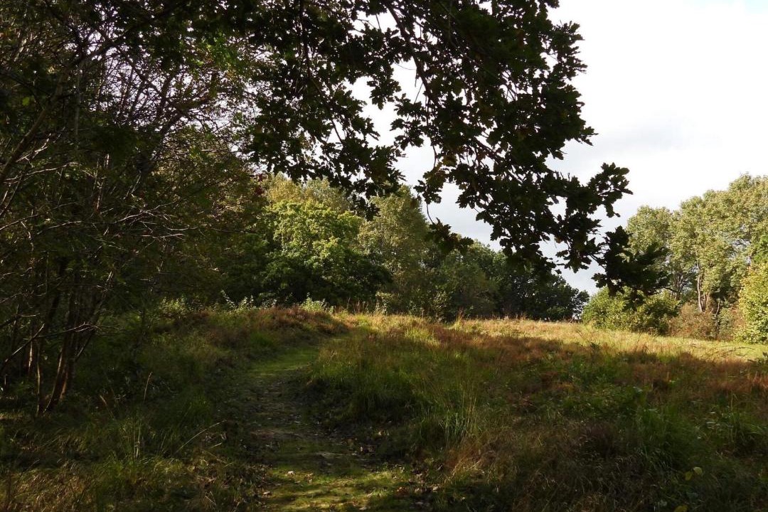Photo of Others in Aabybro
