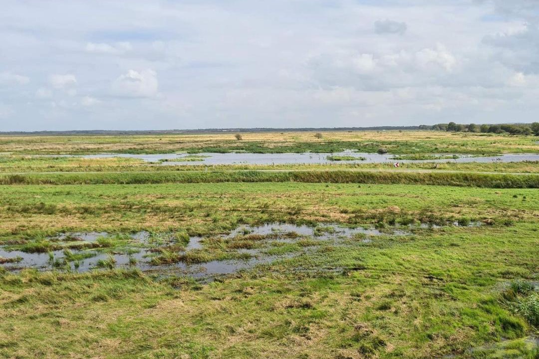 Photo of Others in Aabybro