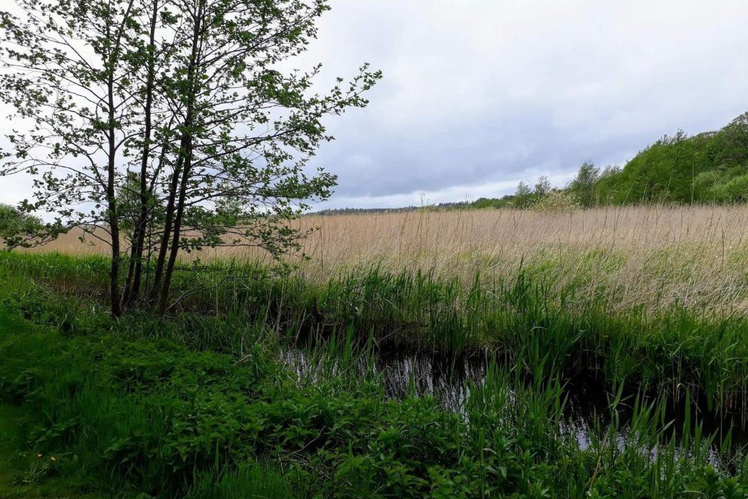 Photo of Others in Øksenmølle