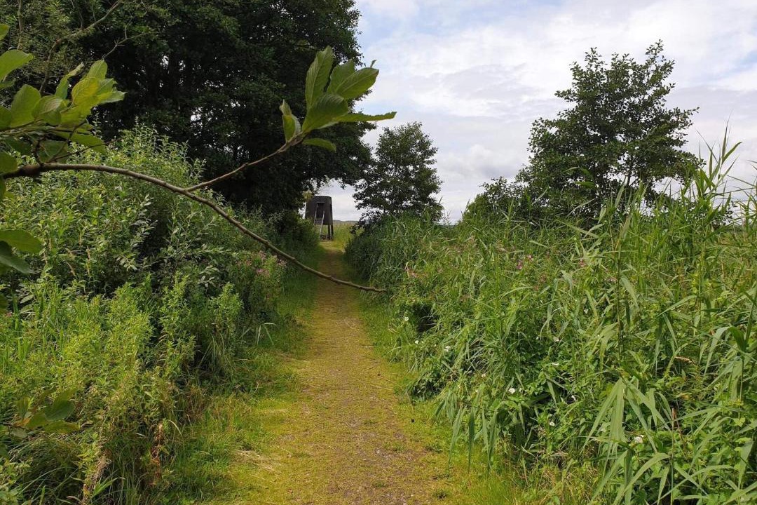Photo of Outdoor in Øksenmølle