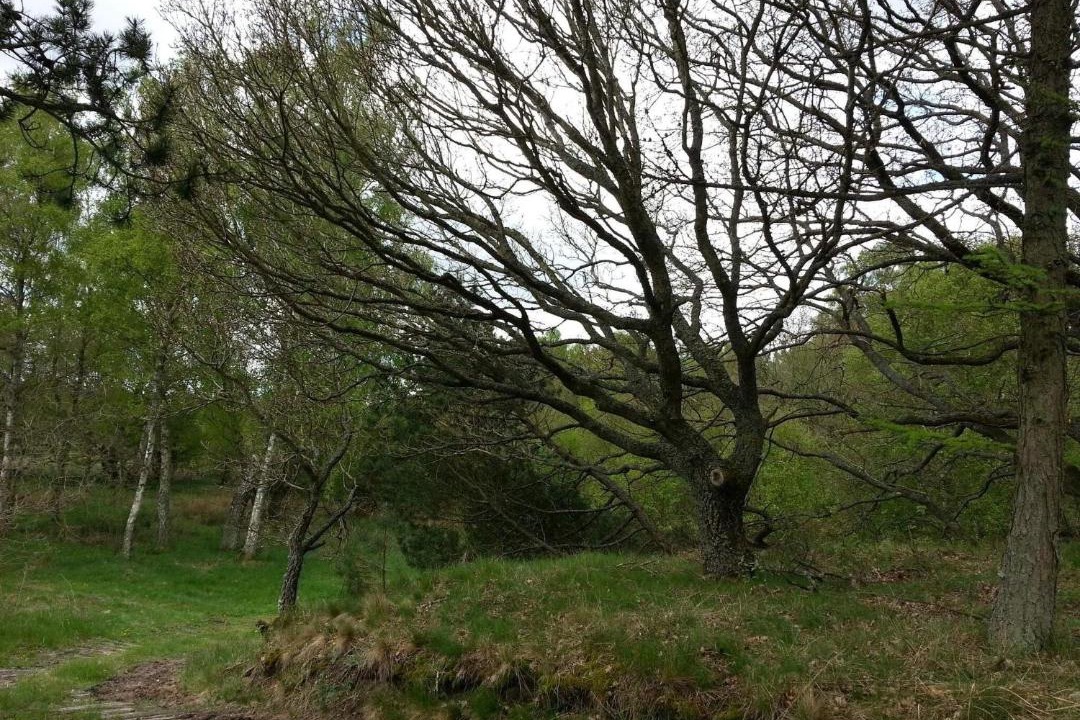 Photo of Others in Øksenmølle
