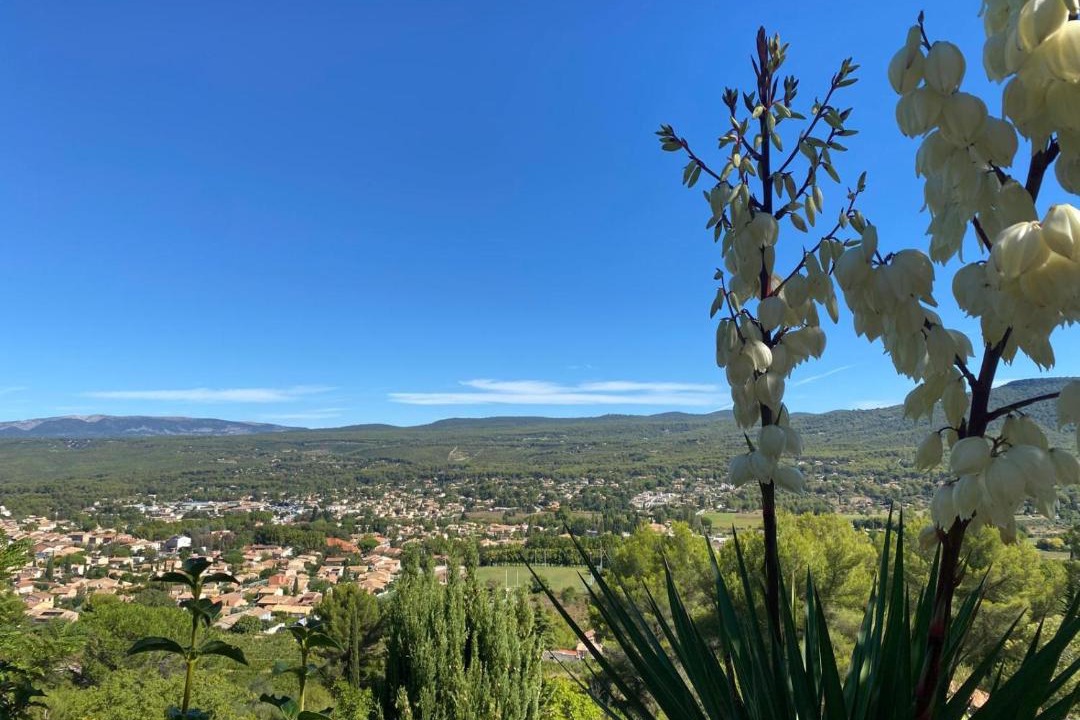 Photo of Others in Le Beausset