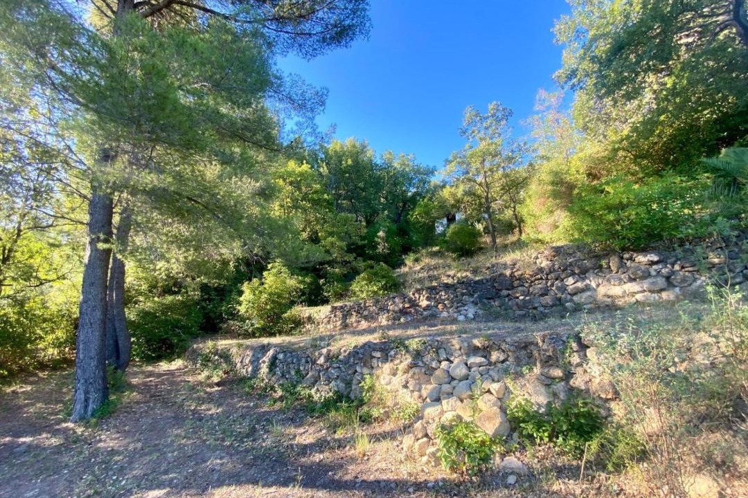 Photo of Others in Le Beausset