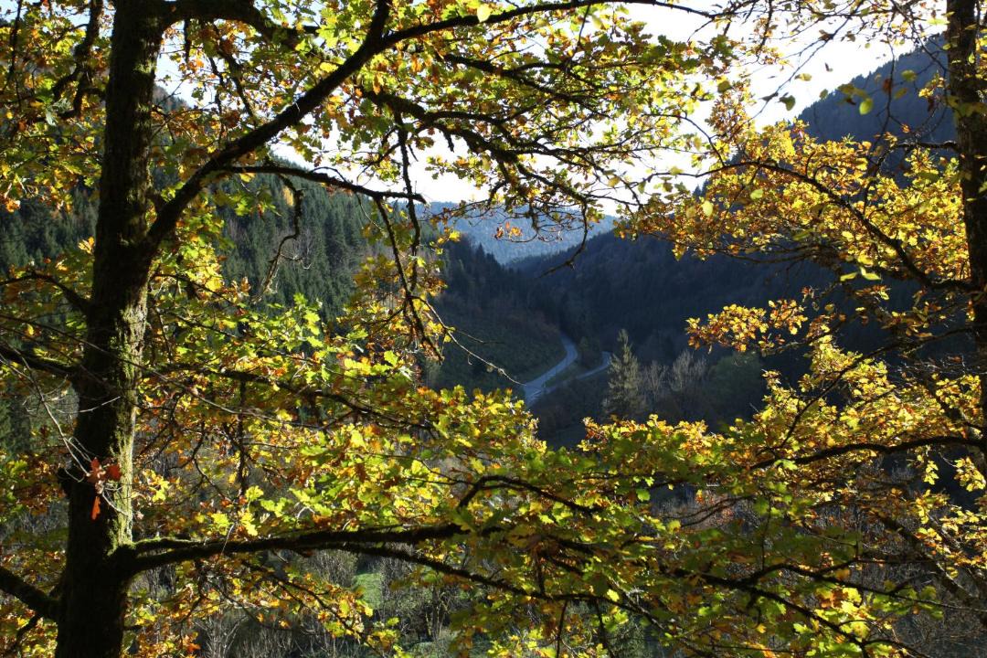 Photo of Others in Bretonvillers