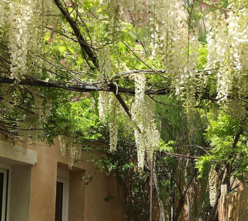 Photo of Others in Serres