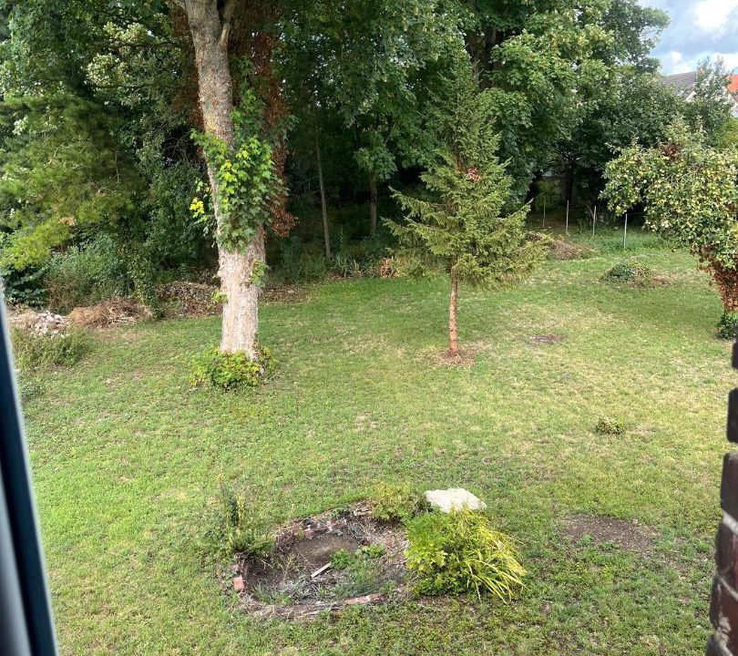 Photo of Others in Roisel