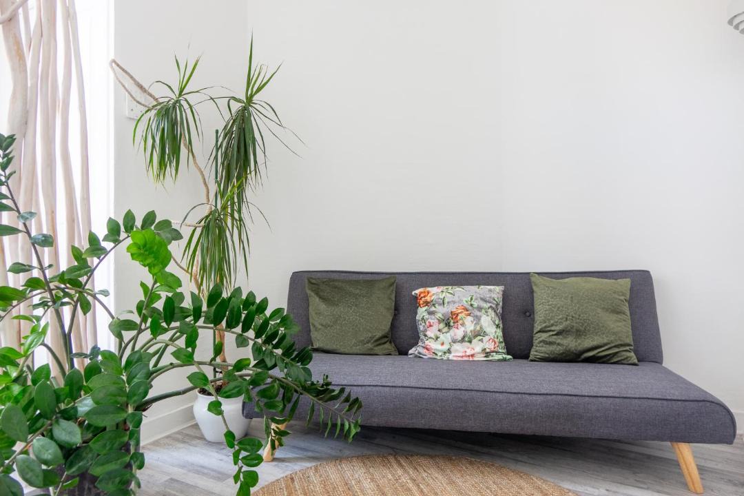 Photo of Livingroom in Barriere Saint Marc