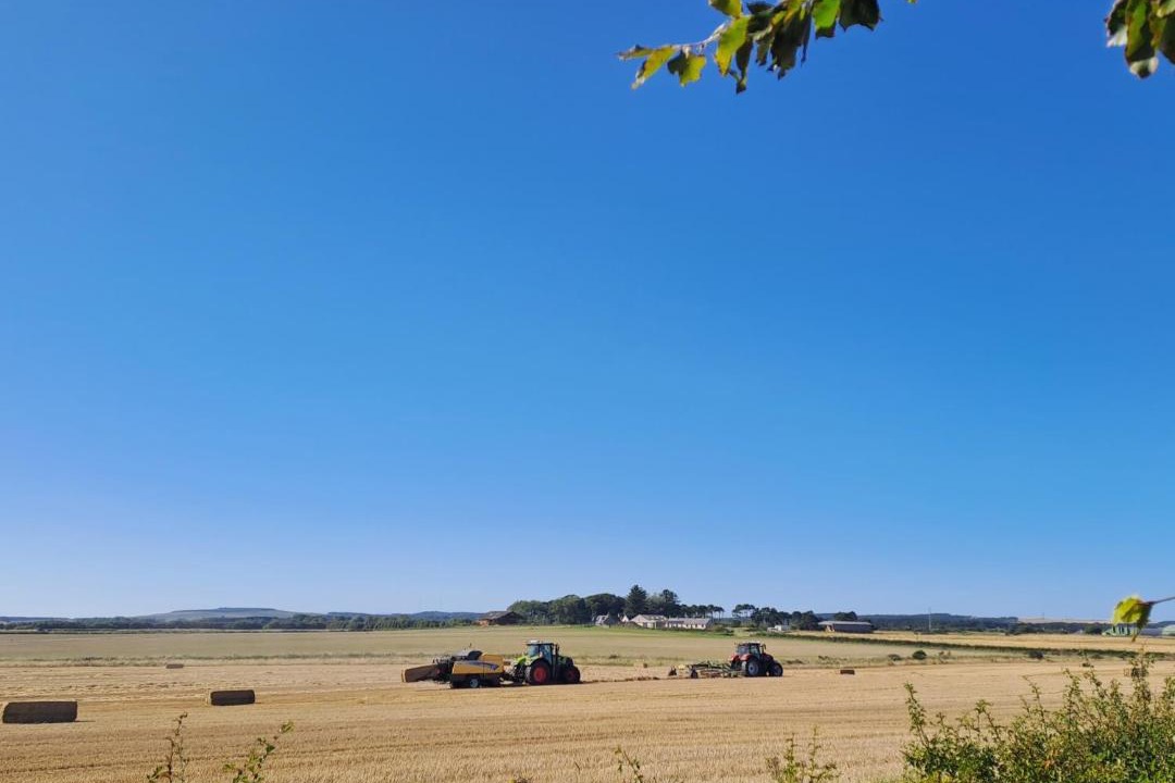 Photo of Others in Lossiemouth