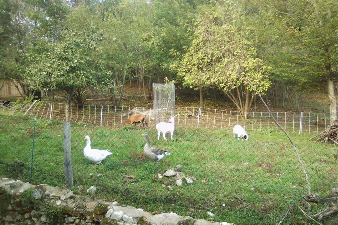 Photo of Others in Fumel