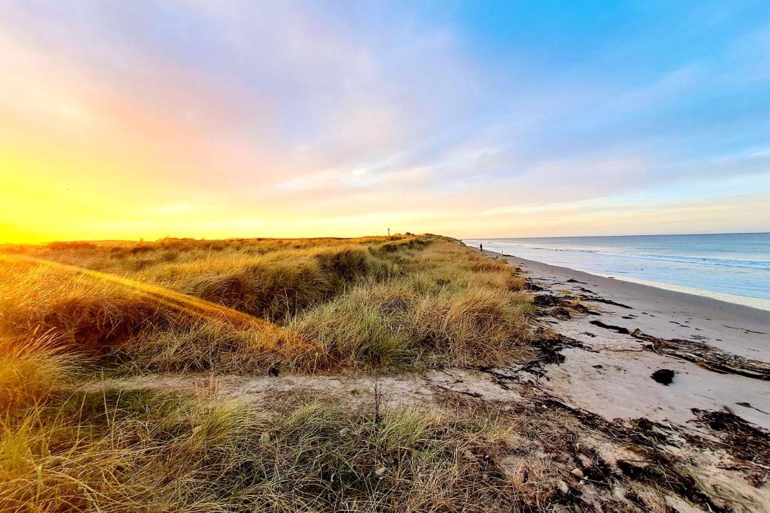 Photo of Others in Lossiemouth