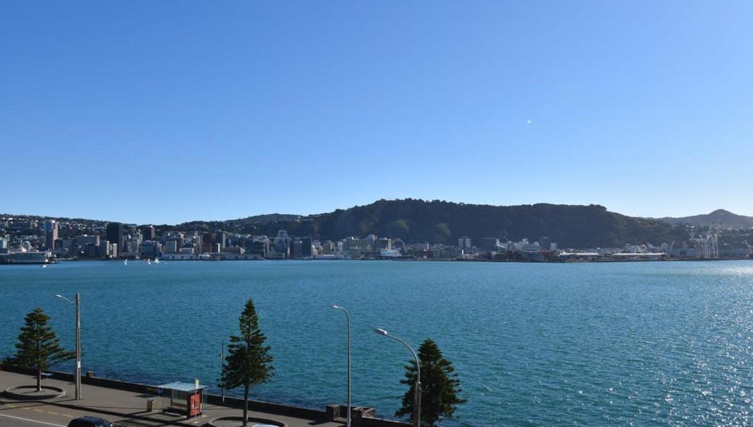 Photo of Others in Oriental Bay