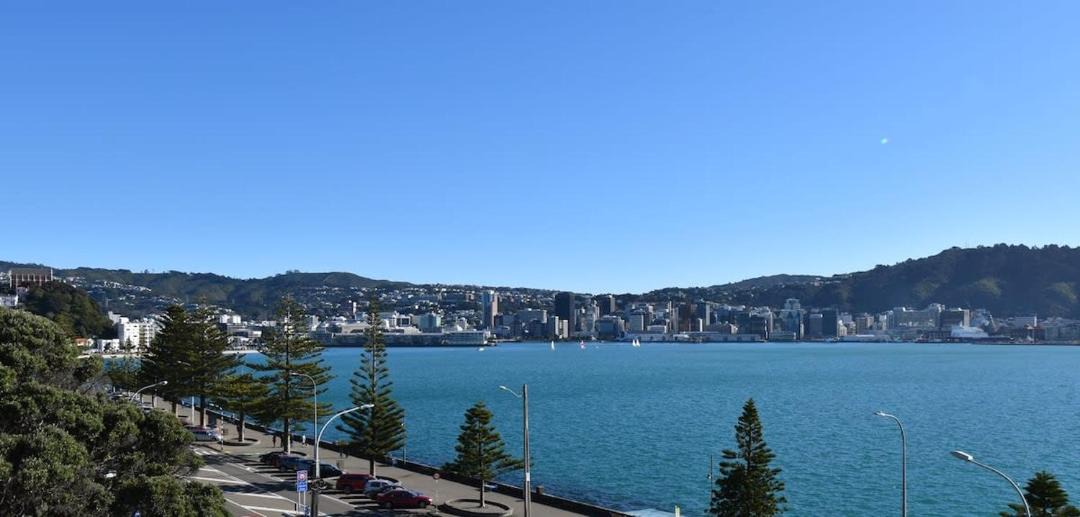 Photo of Others in Oriental Bay