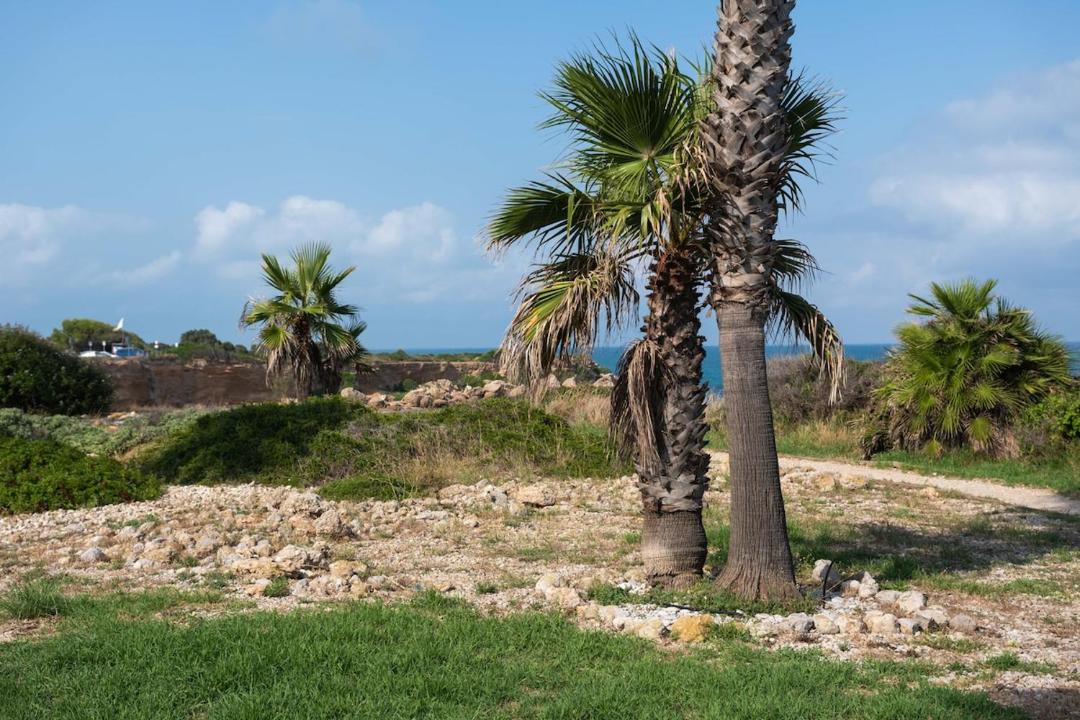 Photo of Others in Vinaros