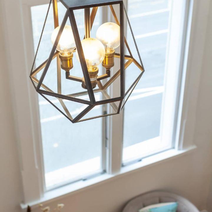 Photo of Others in Kapiti Island