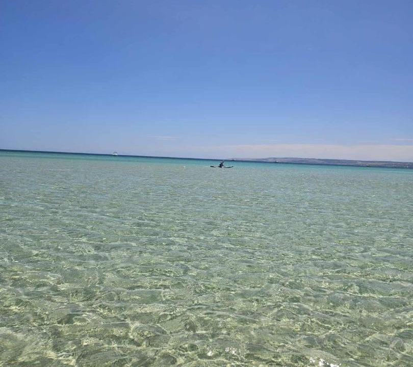 Photo of Others in Island Beach