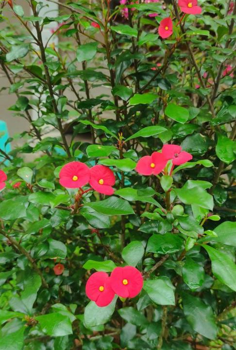 Photo of Outdoor in Kampung Guar