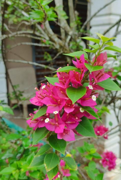 Photo of Outdoor in Kampung Guar