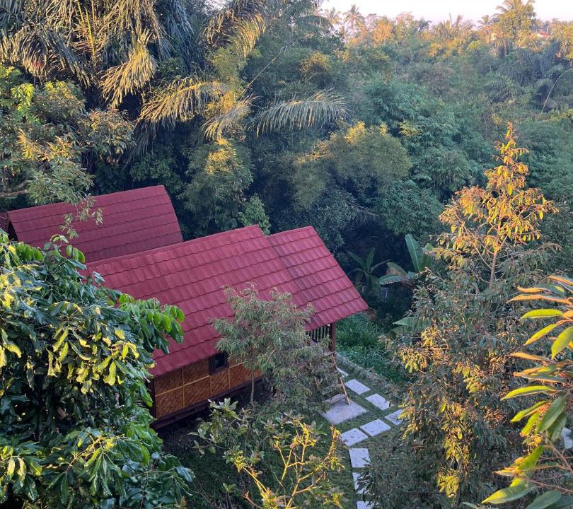 Photo of Others in Tetebatu