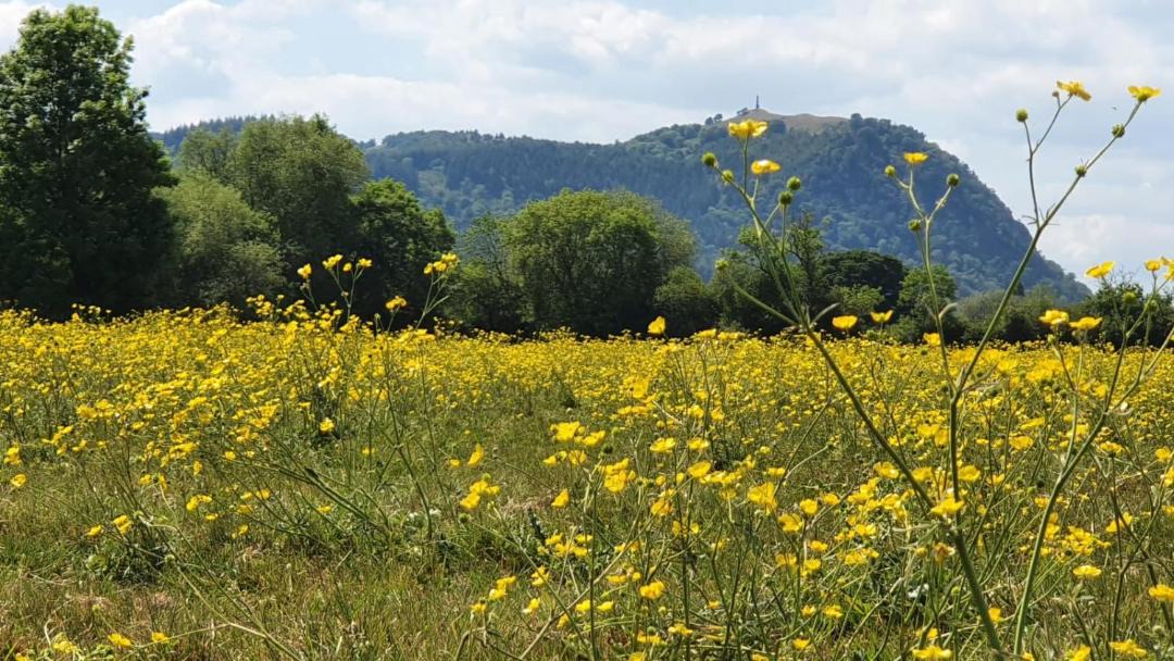Photo of Others in Halfway House
