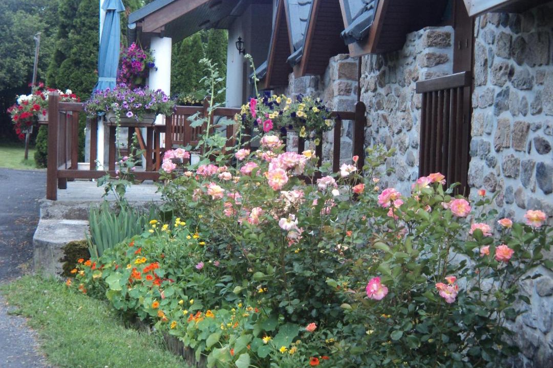 Photo of Others in Vebret