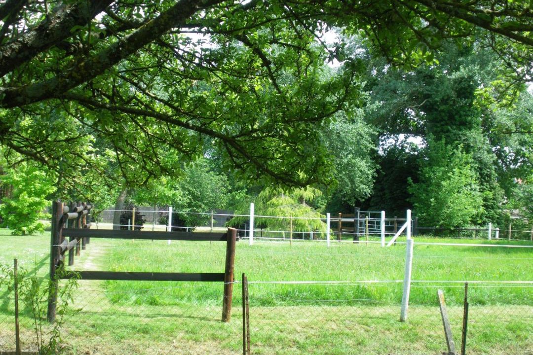 Photo of Others in Saint-Jean-le-Thomas