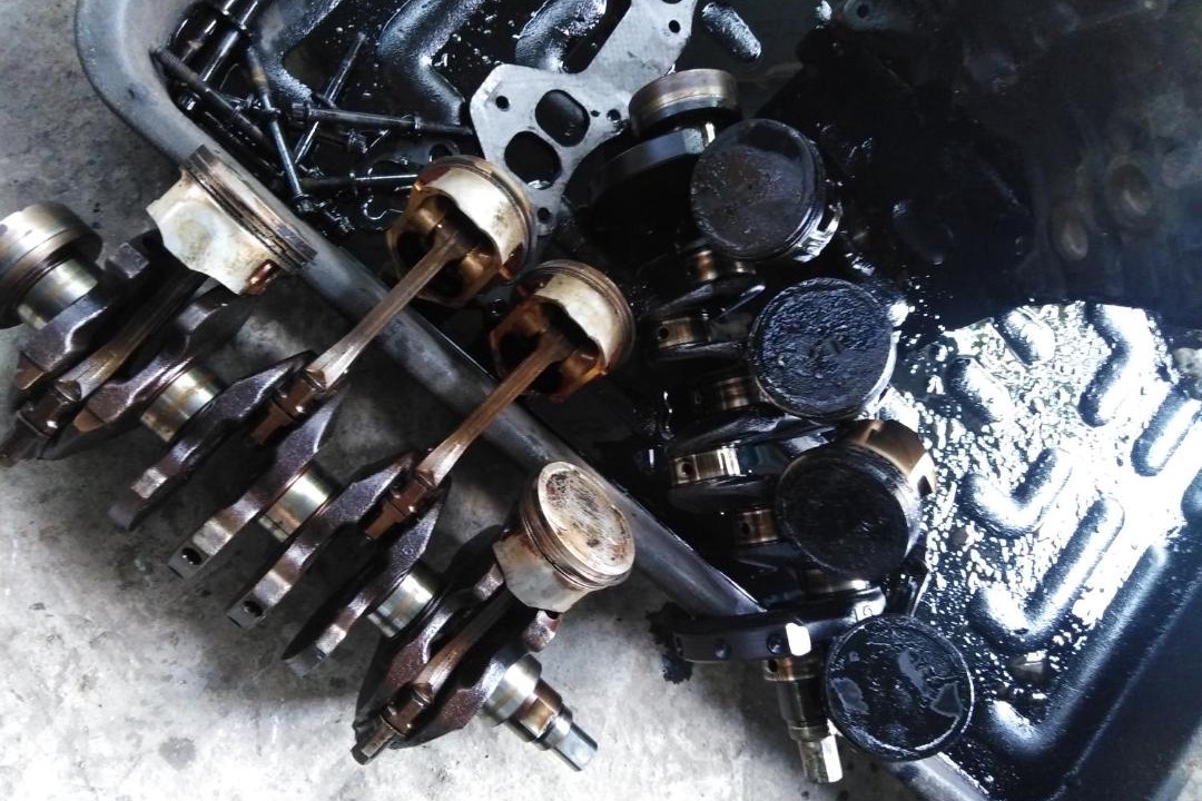 Photo of Others in Melor