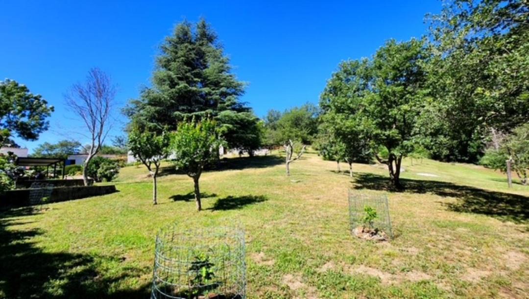 Photo of Outdoor in Saint-Marsal