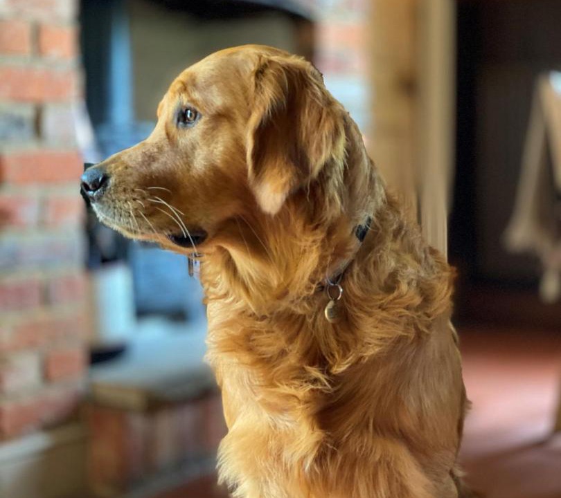 Photo of Others in Baughurst