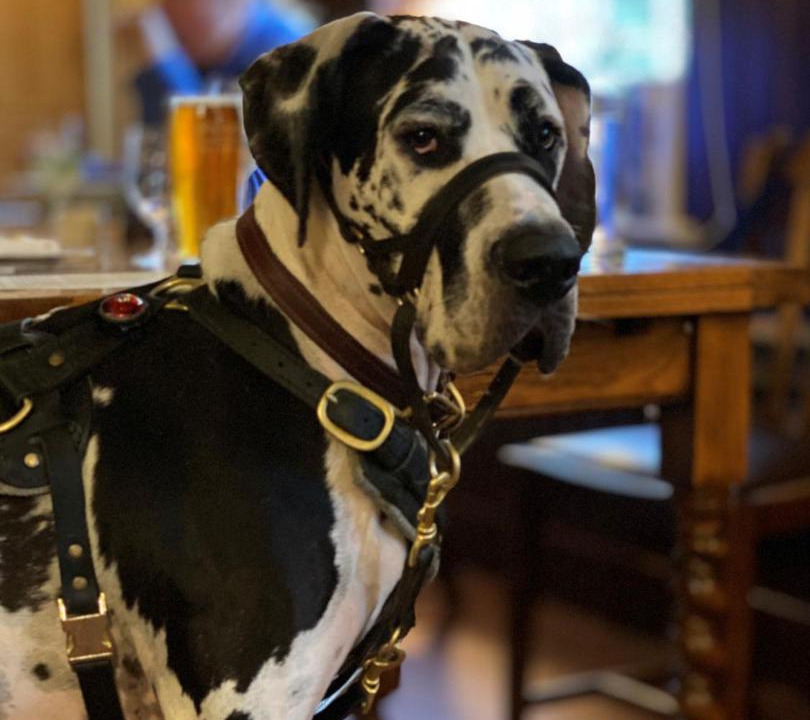 Photo of Others in Baughurst