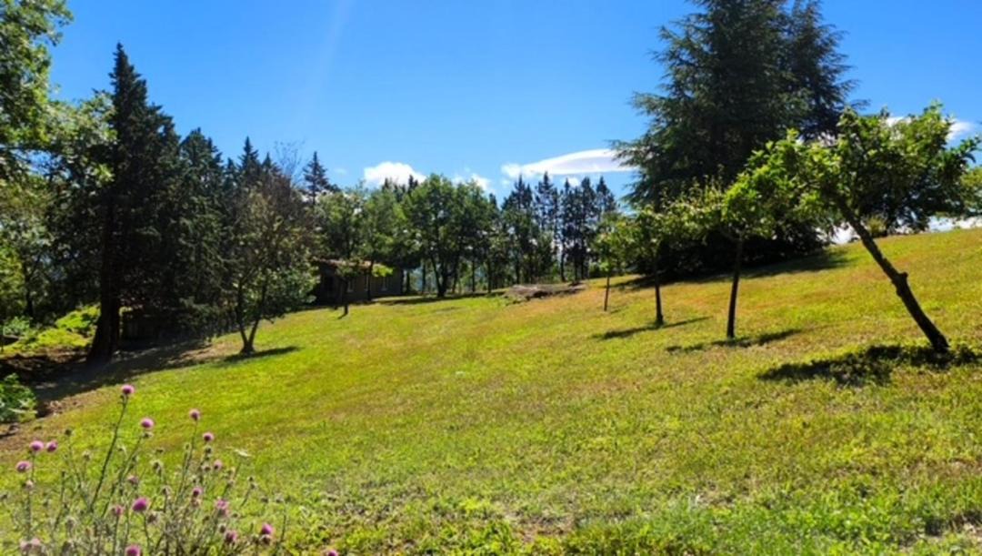 Photo of Outdoor in Saint-Marsal