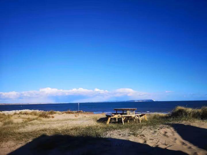 Photo of Others in Hengistbury Head