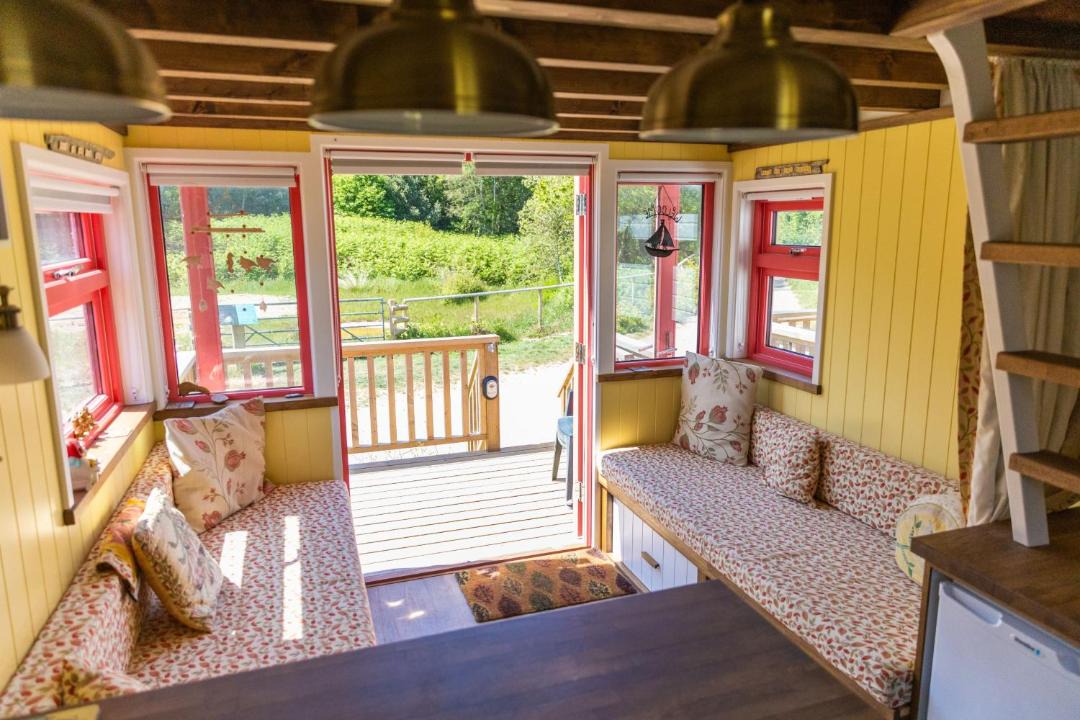 Photo of Others in Hengistbury Head